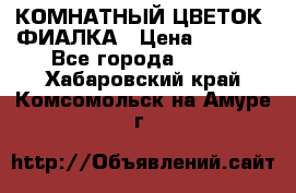КОМНАТНЫЙ ЦВЕТОК -ФИАЛКА › Цена ­ 1 500 - Все города  »    . Хабаровский край,Комсомольск-на-Амуре г.
